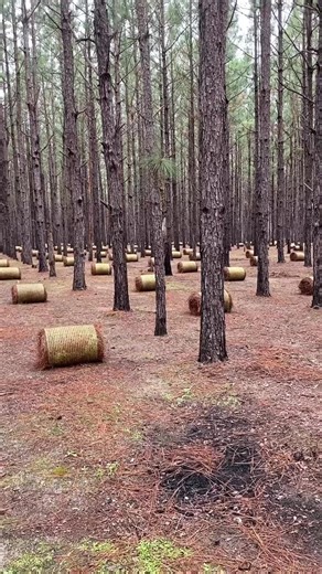 Truck Loaded and Ready to Roll!
