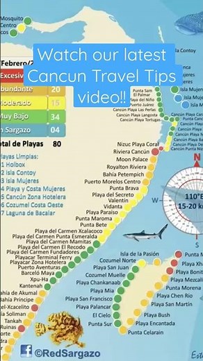 Cancun Seaweed Map!! See if where you are going has seaweed 👇🏻 #travel #traveltips #mexico