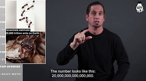 15K views · 989 reactions | Scientists estimate 20,000 trillion ants...