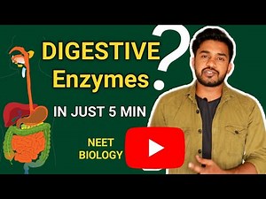 Digestive enzymes | in hindi | digestion and absorption, Human physiology | neet2020 biology