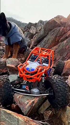 It crawls too! Axial Ryft