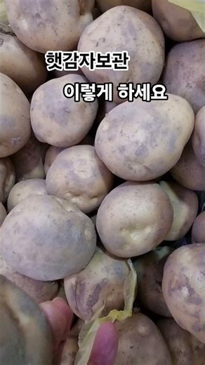 Here's how to store new potatoes #HealthInfo #Food
