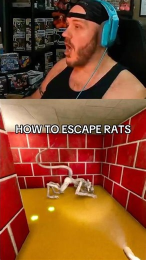 This game plays with my emotions too much 🐀 Labyrinthine Co-Op Horror Maze Game Gameplay