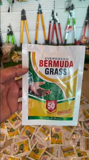 Bermuda Grass Seeds | Grow a Thick, Healthy Green Lawn with High Germination