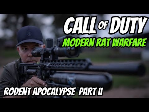 Call of Duty Modern Rat Warfare || Rat Shooting Madness || Rodent Apocalypse Part 2
