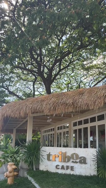 Gourmet Coffees and Cocktails at Triboa Cafe