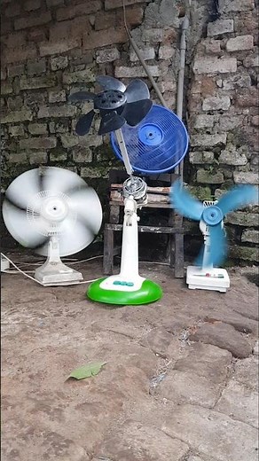 fan video | fan videos for babies #fan #fanvideo #electricfan #tablefan #standingfan #deskfan