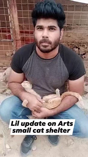 2.6K views · 194 reactions | Support Arts ❤️ HBL Account number = 24437106522303 Area code=2443 Iban PK52 HABB 0024 4371 0652 2303 Title= Muhammad Arsalan Rana Jazzcash/ easypaisa: 03242627051 | Animal Rescue & Transportation Service Karachi | Facebook