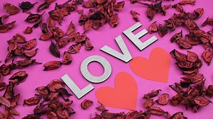 Download love rose background. High quality 4k footage for free