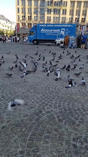 Video's van fina kleene (@finakleene) met son original - fina kleene