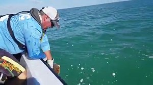 94K views · 1.8K reactions | TURTLE RESCUE - A group of biologists with Florida Fish and Wildlife came to the rescue of a loggerhead sea turtle that found itself tangled in some rope in the middle of the ocean. STORY: https://bit.ly/2VpxxUT | WSVN-TV | Facebook
