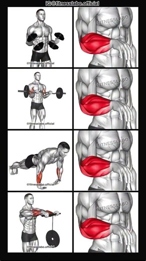 How to Build Bigger Forearms ① Dumbbell Rotation ② Reverse Curl ③ Wrist Push-up#viral #ytshorts