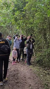🐦✨ Este 11 de octubre vive el October Big Day en Chicaque: tres días en el bosque de niebla, rodeado de aves, naturaleza y un campamento todo incluido. 🌿 ⚠️ Cupos limitados 👉 Reserva ahora tu lugar y sé parte de este evento mundial. 📩 Para más información, escríbenos por interno. #cadaavecuenta #lasavesnosunen #colombiaelpaisdelasaves #aventura #bosquedeniebla | Parque Natural Chicaque