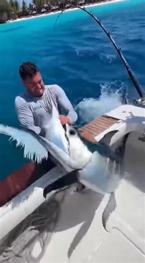 Fell Into the Ocean While Catching a Giant Marlin! | Intense Fishing Moment