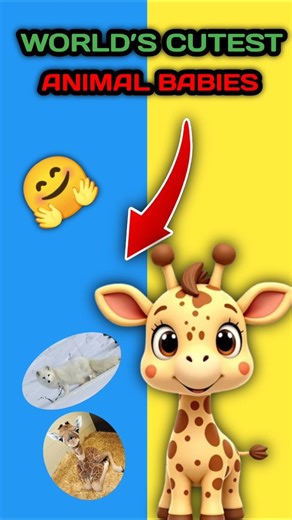 Cutest Animal Babies in the World#facts