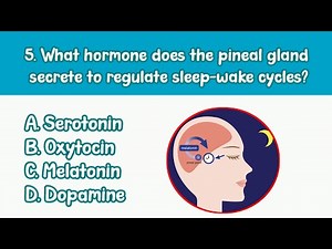 Endocrine System MCQs | perfect for MBBS | Nursing | USMLE | PLAB | NCLEX | Medical School Revision