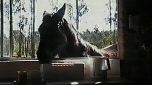 13 Toaster Fails In 60 Seconds