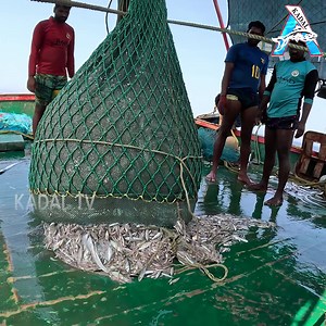1.5M views · 10K reactions | Trawl Fishing in Trawl Net boat | Net Fishing in The Sea | Kadal #fishing #NetFishing #fishvideos | KADAL | Facebook