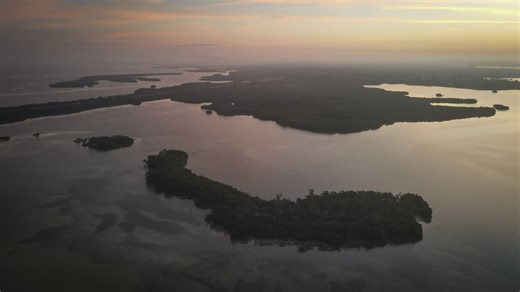 Tampa Bay cruise port proposal prompts threats to Manatee County staff, official says
