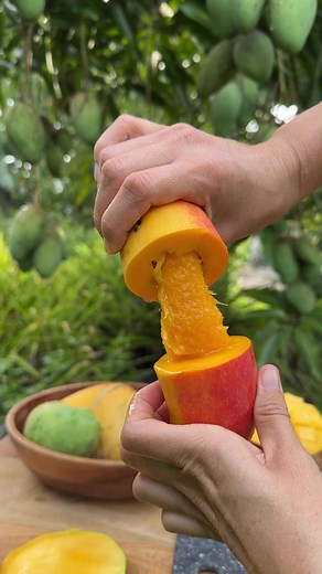 Discover a Variety of Mangoes with MiamiFruit's Mix Boxes