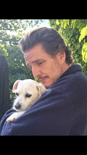 Pedro Pascal with Mira Chai’s dog #pedropascal #pedropascalhq #pedropascaledit #fyp