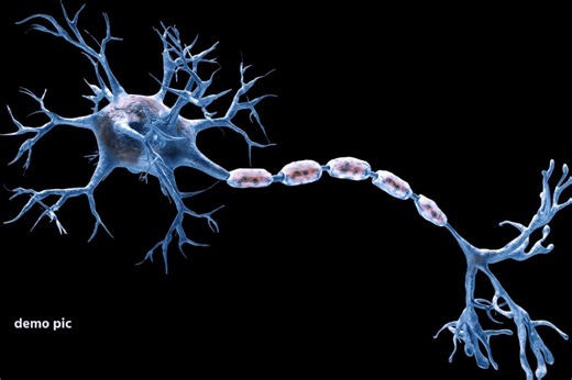 नई बीमारी GBS का खौफ शुरू, कई राज्यों में बढ़े मामले, जानें राजस्थान के लिए क्या बोले वरिष्ठ चिकित्सक