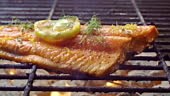 Pink Atlantic Salmon filet with with Tarragon and Rosemary and Lemon...