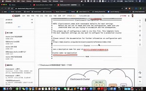 Elasticsearch 中的一些中重要概念