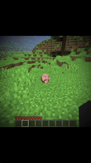 Hello, I’m Sterling #minecraft #idksterling #fyp #viral #verity @IdkSterling @Idksterling FN