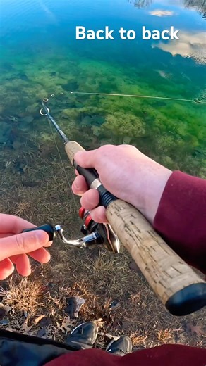 Back to Back on the ultra light. #fishing #icefishing #bassfishing #bluegillfish #kayakfishingtips