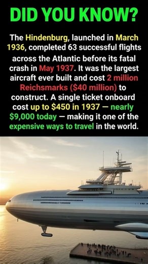 The Hindenburg: $9,000 for a Single Ticket? 🎈💰 #history #facts