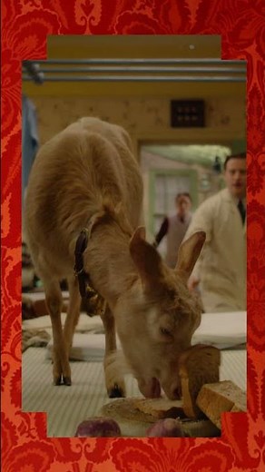 All Creatures Great and Small Valentines: You're the GOAT