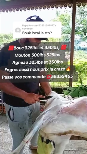 Replying to @user423401587977