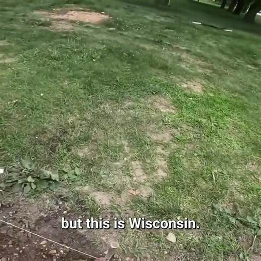 The Big Mailbox Mystery! #mystery #mailbox #innocent | Victory Outdoor Services