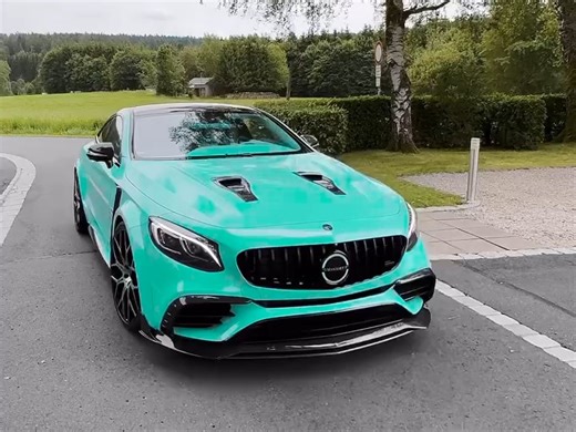 《MANSORY》天生魅魔圣体