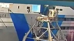 All Bad: Crew Member Gets Thrown Out From A Window Of A Floating Fish-Processing Factory!