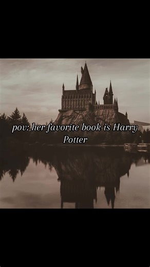 Harry Potter: My Comfort Book and Favorite Series