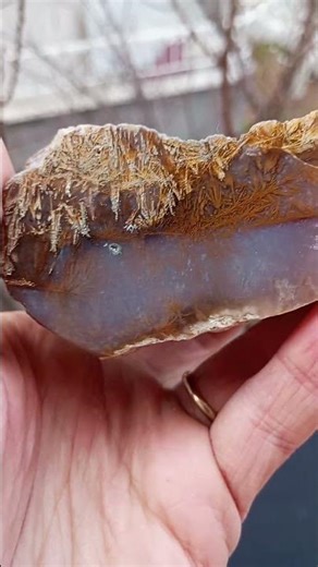 Mirror Polished Sagenite Agate