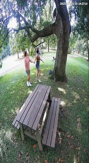 Monkey Steals Tourist's Backpack!