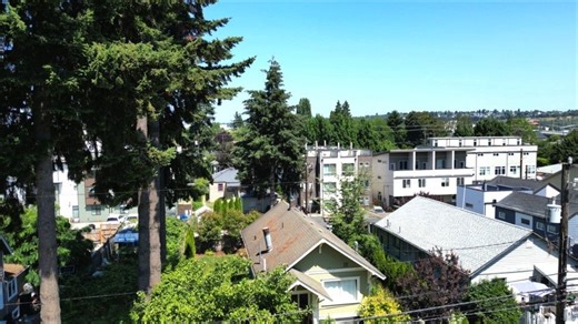 Mayor signs order to boost Seattle's tree preservation efforts