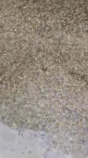 Nothing worse than rain coming through your ceiling. TekCryl stops leaks fast — even in freezing conditions. Protect your home with one simple coat. | Composite Roof Supplies