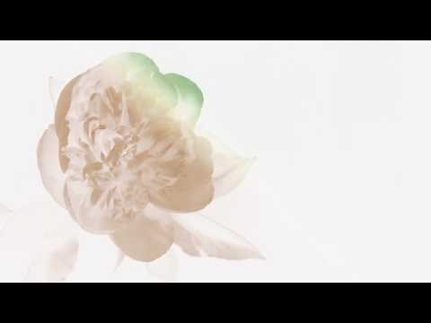Alina Baraz & Galimatias - Unfold (Animated Video)