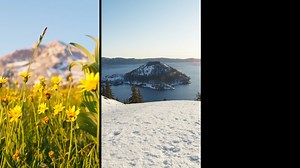 3.6K views · 79 reactions | Home  | University of Oregon | Facebook