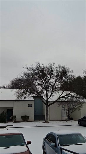 First snow. Pardon the face shots. Couldn't figure out if it was just my reflection or my actual face. Laugh 😃 out loud! Part 1 | Steve Cope