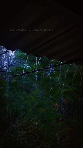 Video của Chú Heo Con (@heocon.chu) với bản nhạc original sound - Phật Pháp và Đời Sống