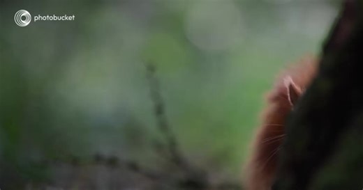 Can’t remember where all your photos & videos are on social media? Consolidate them all to #Photobucket and relax 😬 Sign up here: https://hubs.li/Q02vdmKD0 #cloudstorage | Photobucket