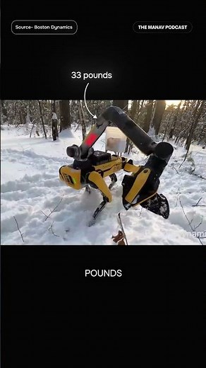 The Robot Dog That Can Tow a Minivan!