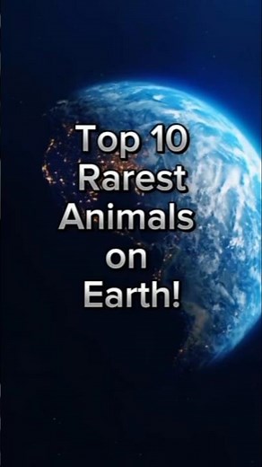 Top 10 Rarest Animals on Earth – Discover These Endangered Species!"