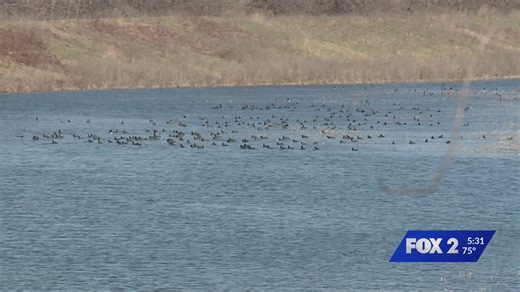 St. Charles County unveils 785-acre wetland park for birds