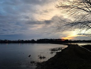 Have A CPA Question? Framingham Forum Is Here To Help